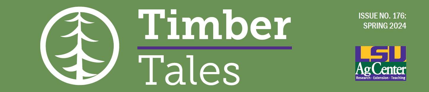 Decorative header that says, "Timber Tales."